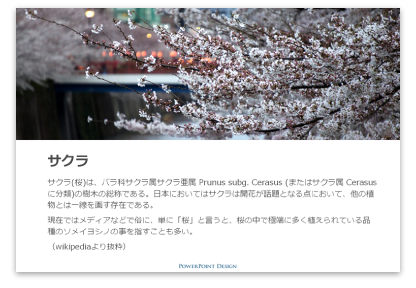 layout-basic-knowledge-contrast-offset-printing2 裁ち落としのサンプル(サクラ)